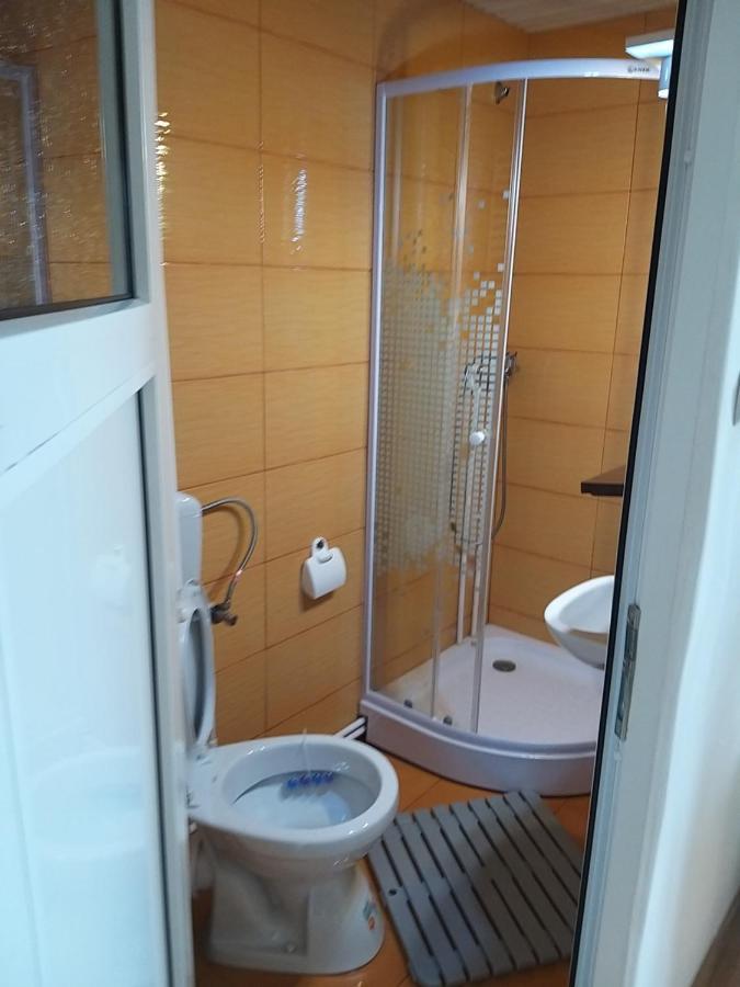 Casa Cosmina Arieseniヴィラ エクステリア 写真