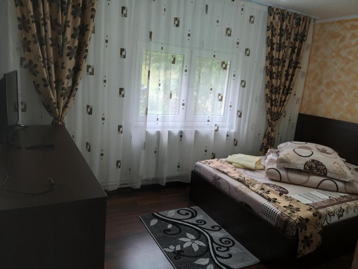 Casa Cosmina Arieseniヴィラ エクステリア 写真