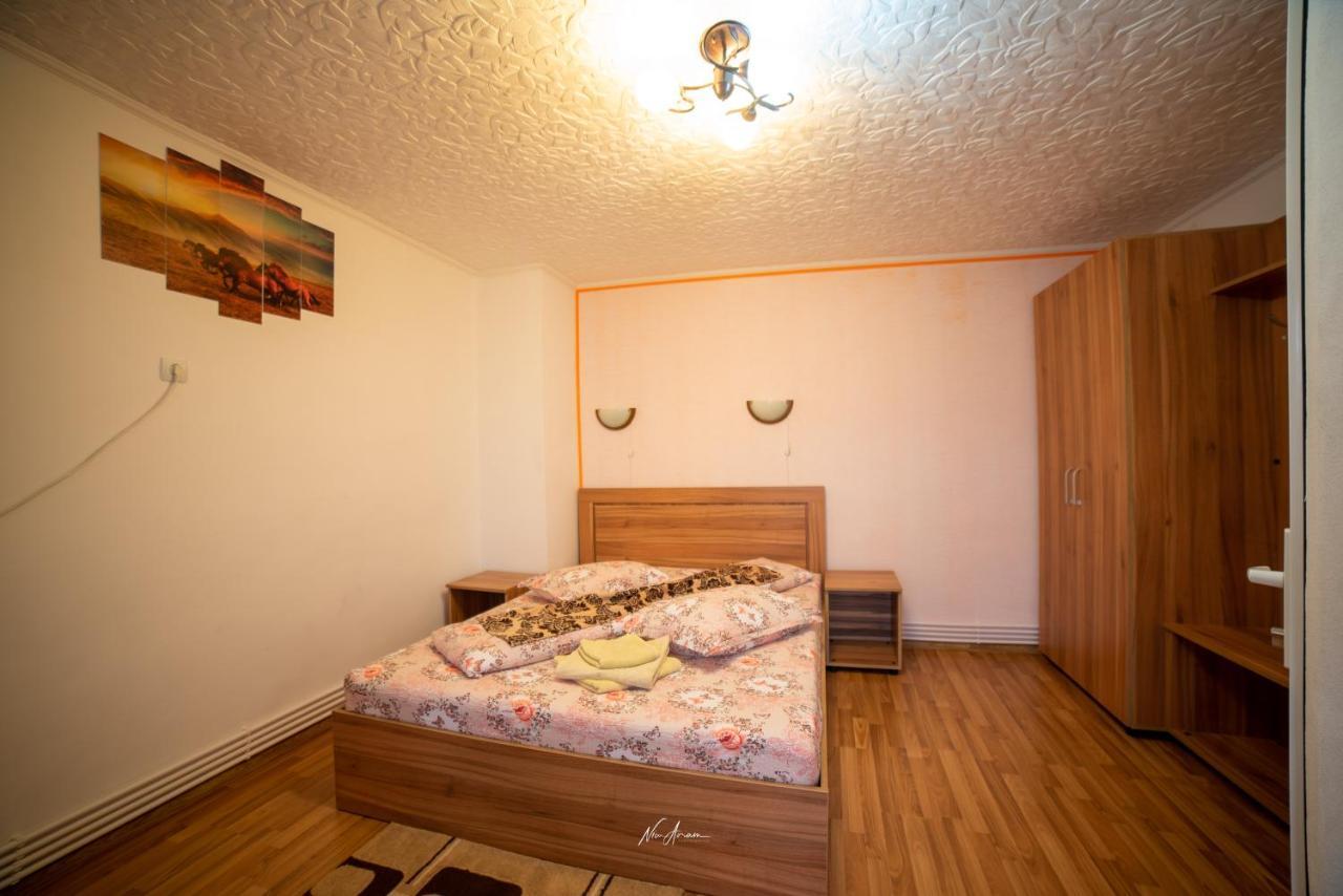 Casa Cosmina Arieseniヴィラ エクステリア 写真