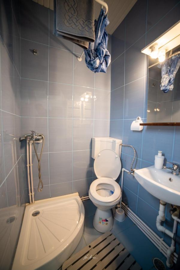 Casa Cosmina Arieseniヴィラ エクステリア 写真