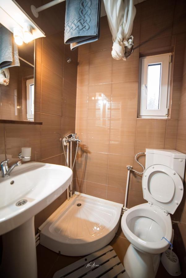 Casa Cosmina Arieseniヴィラ エクステリア 写真