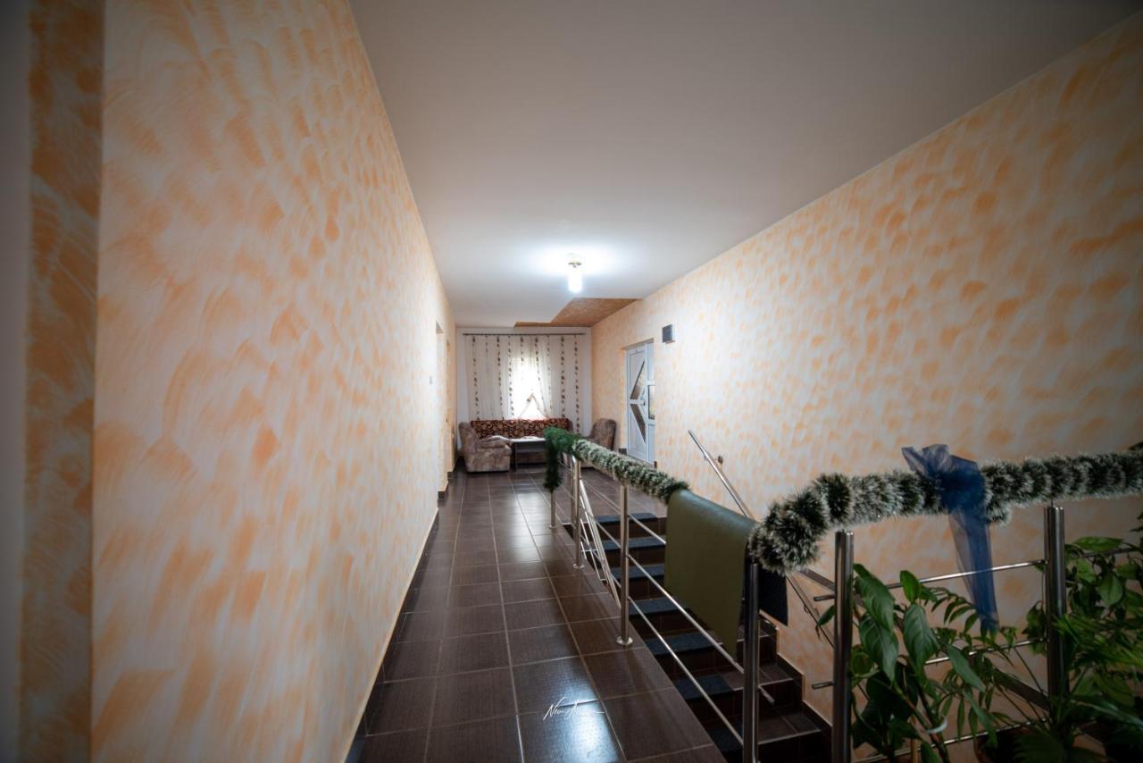 Casa Cosmina Arieseniヴィラ エクステリア 写真
